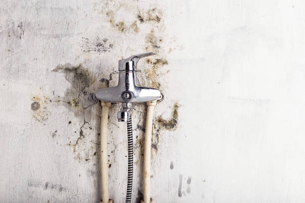 Best Mold Remediation Experts  in Brownfields, LA
