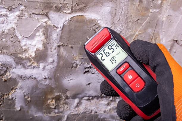 Best Crawl Space Mold Removal  in Brownfields, LA