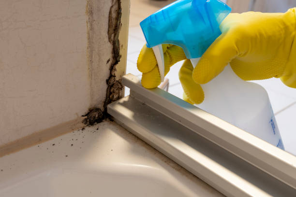 Best Office Mold Removal Services  in Brownfields, LA