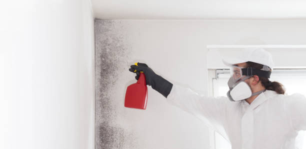 Best Certified Mold Removal  in Brownfields, LA